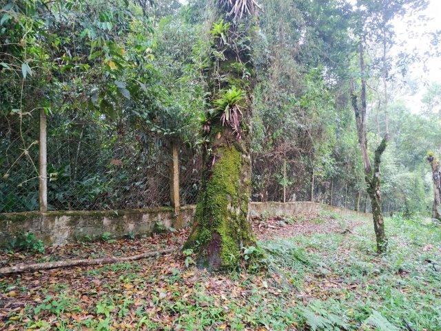 Terreno 40.000m2 em Juquitiba/SP para loteamento - Foto 18
