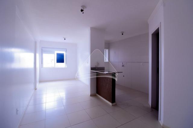 Kitchenette/conjugado para alugar com 0 dormitórios em Centro, Passo fundo cod:13780 - Foto 2