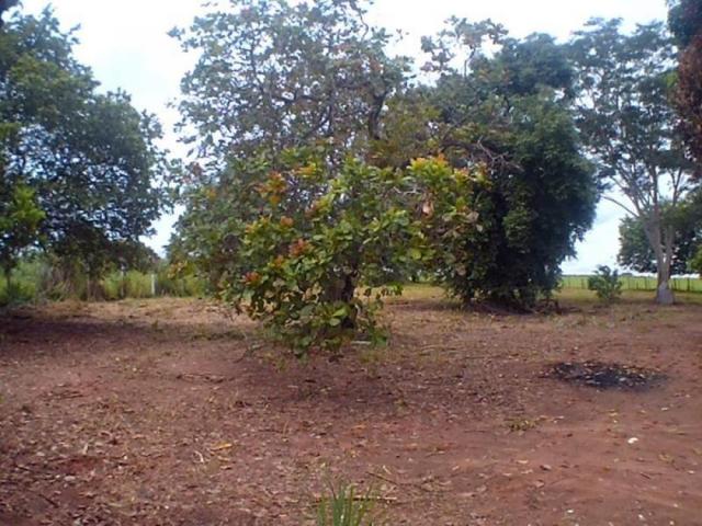 Chácara para alugar em Loteamento edem leste (zona rural), Sao jose do rio preto cod:L632 - Foto 5