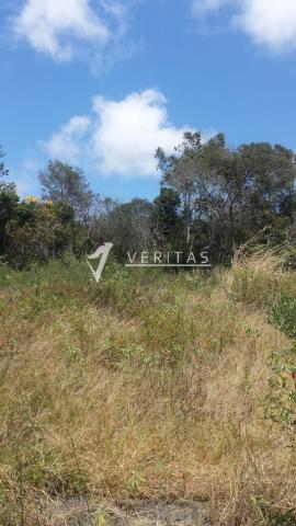 Amplo terreno - povoado de capãozinho - mucugê - Foto 3
