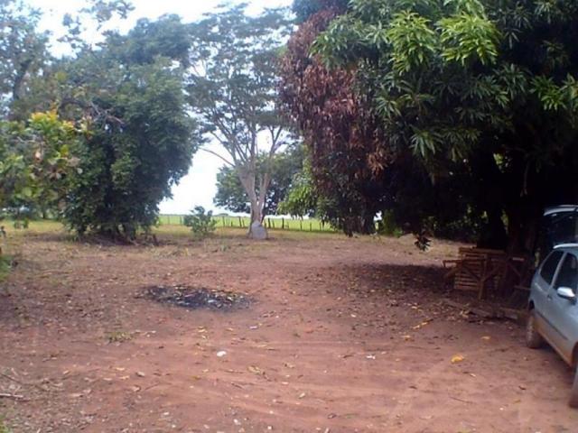 Chácara para alugar em Loteamento edem leste (zona rural), Sao jose do rio preto cod:L632 - Foto 11