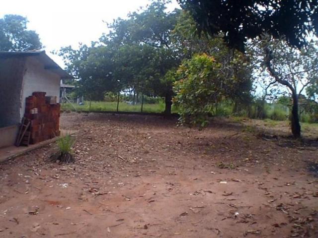 Chácara para alugar em Loteamento edem leste (zona rural), Sao jose do rio preto cod:L632 - Foto 8