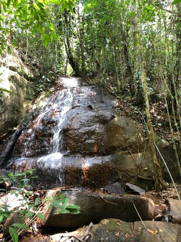 Fazenda em Amargosa-Ba - Foto 2