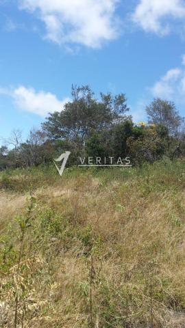 Amplo terreno - povoado de capãozinho - mucugê - Foto 4