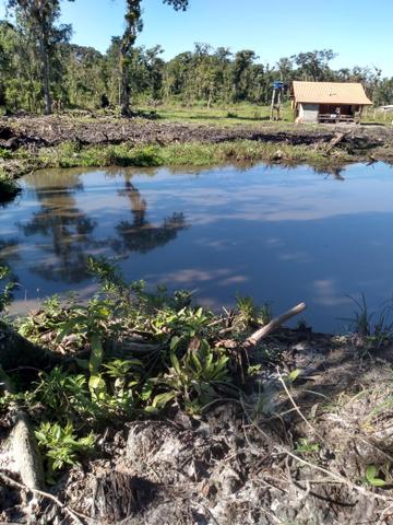 Sítio em Araquari aceito troca - Foto 2