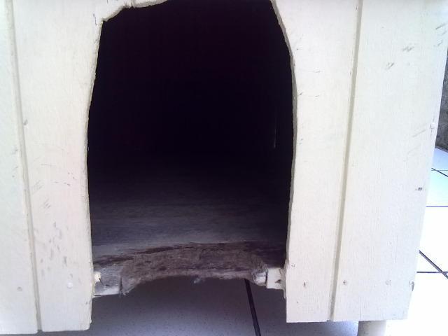 Casinha de madeira para cachorros pequenos e gatos - Foto 6
