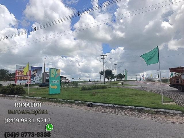 A partir de R$ 245,00 a parcela no Jardim Arvoredo! - Foto 17