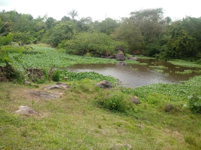 Terreno - Foto 3