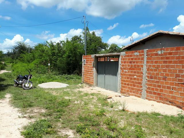 Taboca do pau ferrado - Foto 2