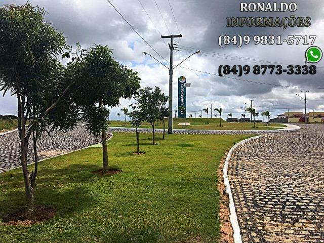 A partir de R$ 245,00 a parcela no Jardim Arvoredo! - Foto 12