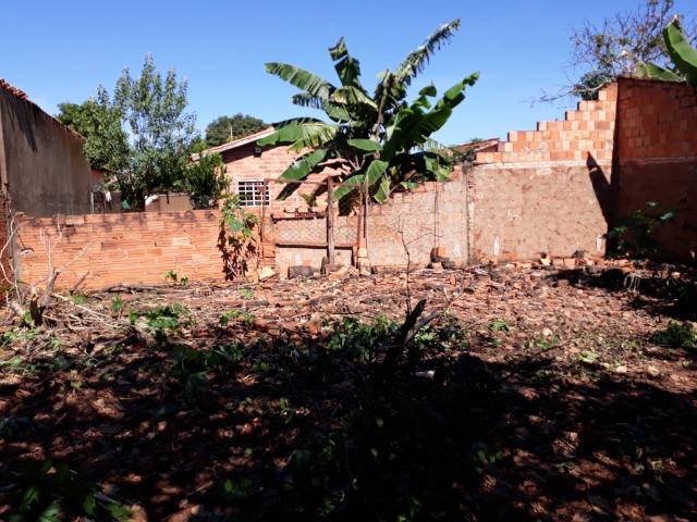 Lote - Foto 2