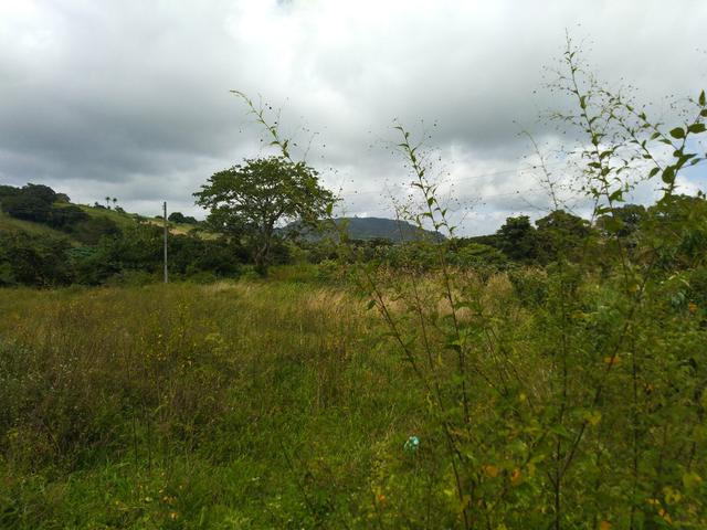 Terreno em Bonito - Foto 3