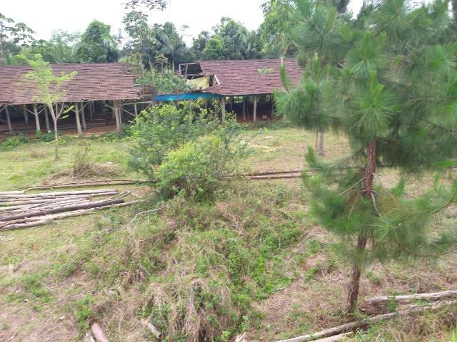 Permuta terreno para chacrinha de 6 mil medindo 30 x 200 de fundos - Foto 12