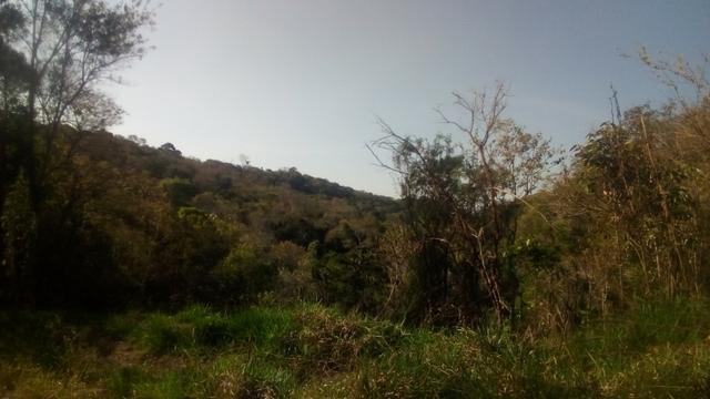 Atenção !! Deu a louca no proprietário de 10mil m2 por 70 mil - Foto 7