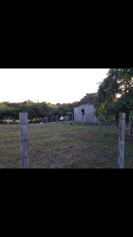 Vendo Fazenda - Foto 5