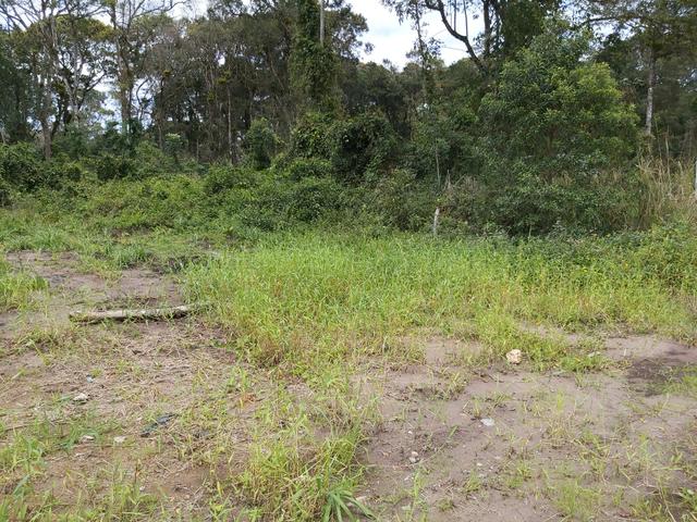 Terreno Itapoá - Foto 4