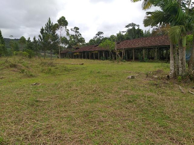 Permuta terreno para chacrinha de 6 mil medindo 30 x 200 de fundos - Foto 4