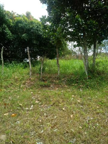 Terreno - Foto 4