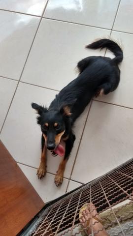 Doação responsável