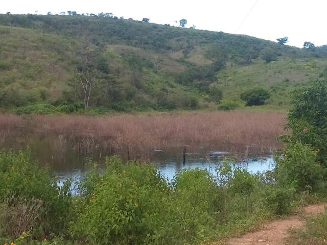 Mundo Novo Fazenda - Foto 15