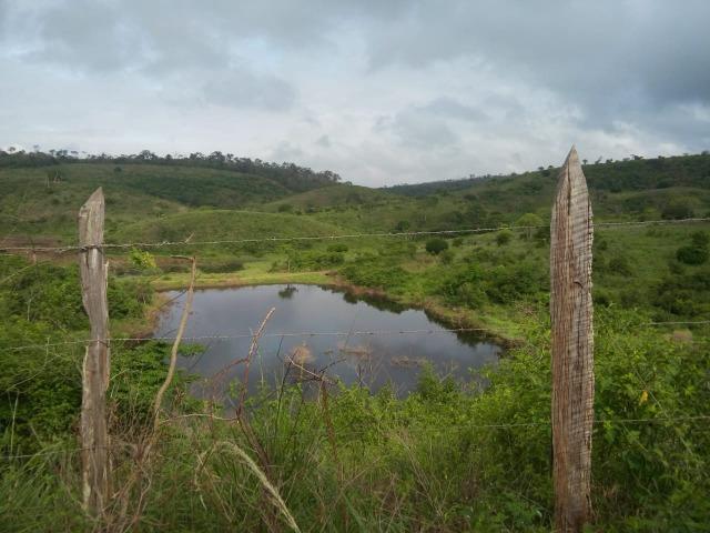 Mundo Novo Fazenda - Foto 14