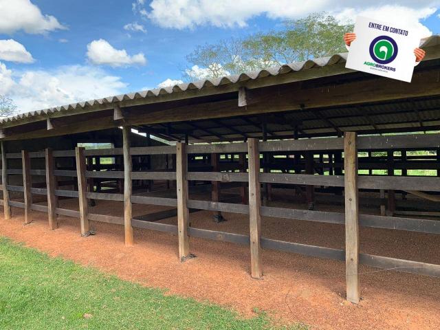 Fazenda 1.040 ha acorizal - Foto 5