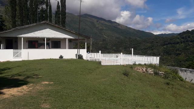 Engorda de Frango Caipira - Foto 3