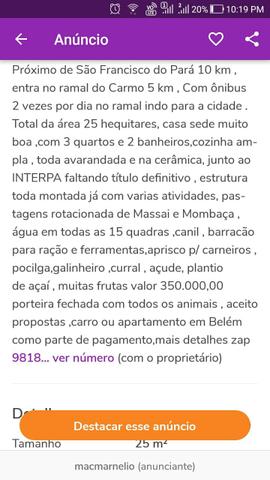 Vendo criatorio de suínos - Foto 18