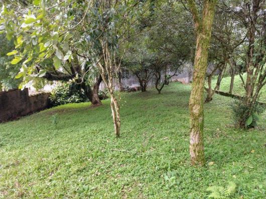 Casa à venda com 3 dormitórios em América, Joinville cod:V48261 - Foto 3