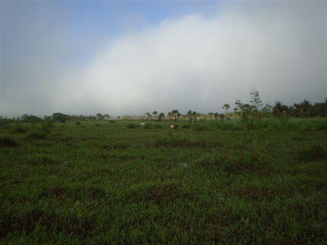 Fazenda dupla aptidão Arinos MG - Foto 2
