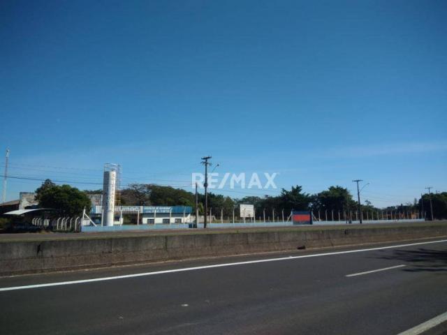 Imóvel comercial a venda no espigão - Foto 12