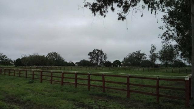 Conjunto de Fazendas Santa Maria - 1.262,5400 ha - Foto 6