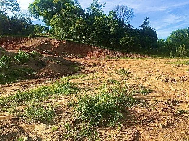 Lotes no Alto Aririu - Foto 2