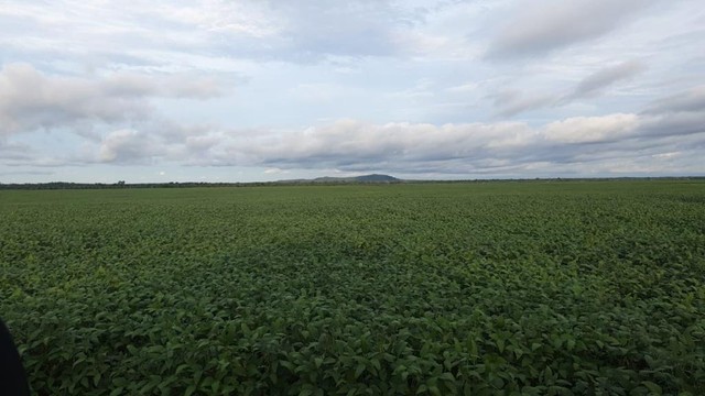 Fazenda de 501 alqueires em Peixe-TO - Foto 3