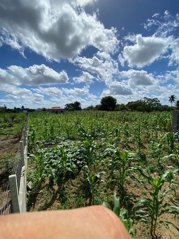 Chácara completa 6500m² à 5 min da UEFS