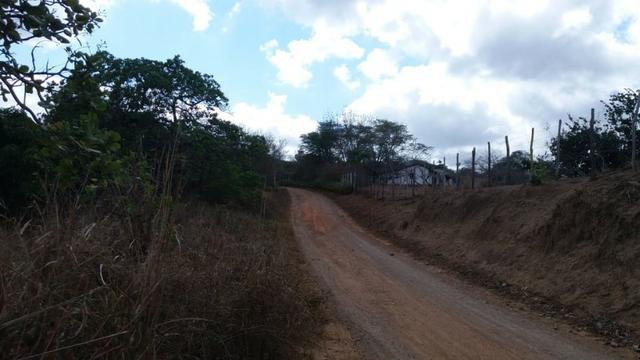 Ótima propriedade, escriturada, de 6 hectares, rica em frutas, em Glória do Goitá-PE - Foto 20