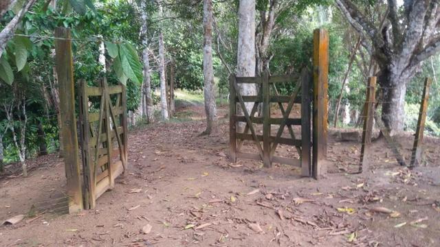 Cidade ilhéus região Japu, Sitio 72 hectares - Foto 8
