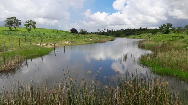 Fazenda com 170 hectares na região de monte alegre - Foto 7