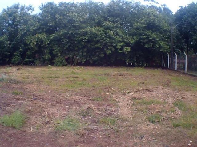 Chácara para alugar em Loteamento edem leste (zona rural), Sao jose do rio preto cod:L632 - Foto 12