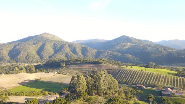 Terreno com vista em Urubici ao lado do Morro da Igreja terreno/lote/área - Foto 13