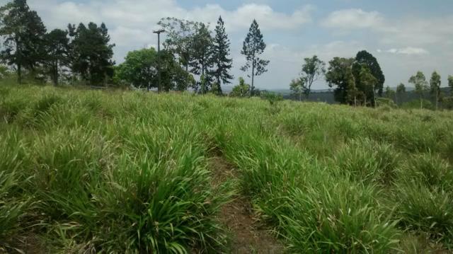 Fazenda em Amargosa-Ba - Foto 3