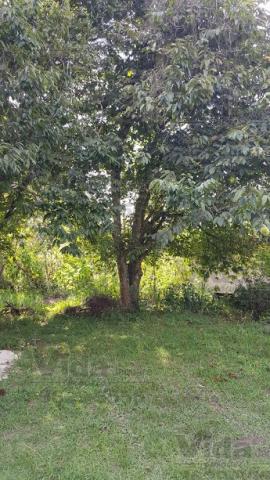 Chácara rural à venda, vila belmira, itapevi - ch0010. - Foto 11