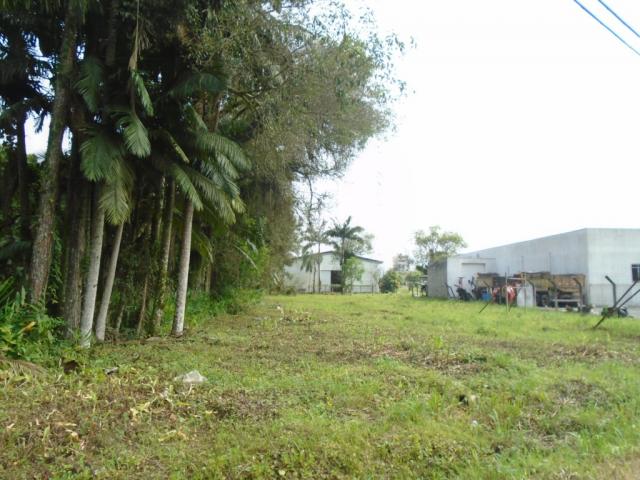 Terreno para alugar em Pirabeiraba, Joinville cod:00444.007 - Foto 2