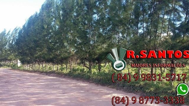 Lotes bons para granja, parcela a partir R$ 220,00! - Foto 18