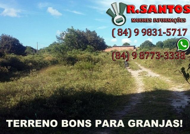 Lotes bons para granja, parcela a partir R$ 220,00! - Foto 5