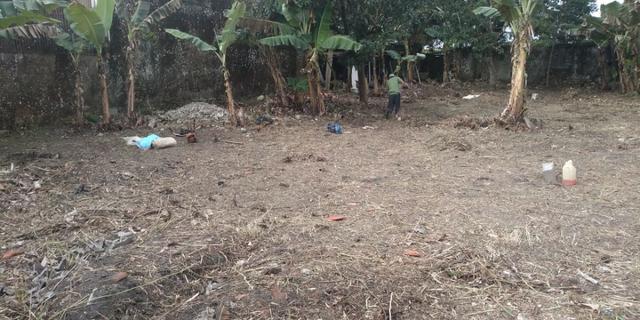 Terreno Cananéia 23 - Foto 2