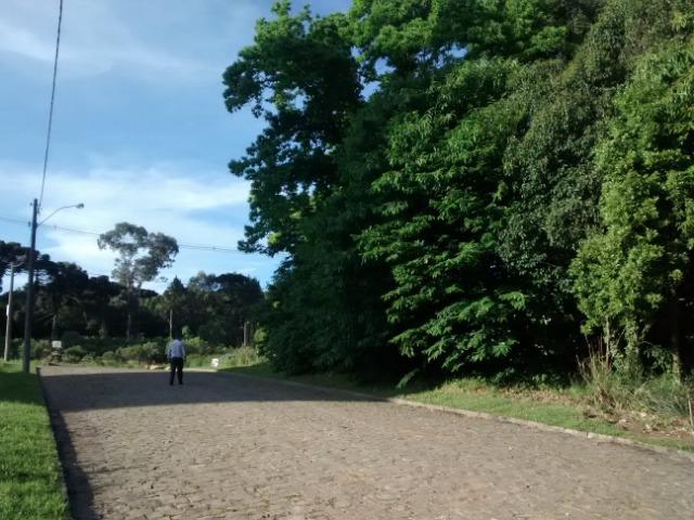 Terenos em ótima localização - Foto 3