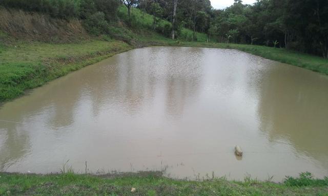 Entrada 30.000 + parc. Torrando terreno pra Chácara com Tanque. 6.000m² Quitandinha-PR