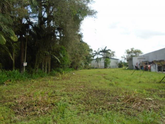 Terreno para alugar em Pirabeiraba, Joinville cod:00444.007 - Foto 6