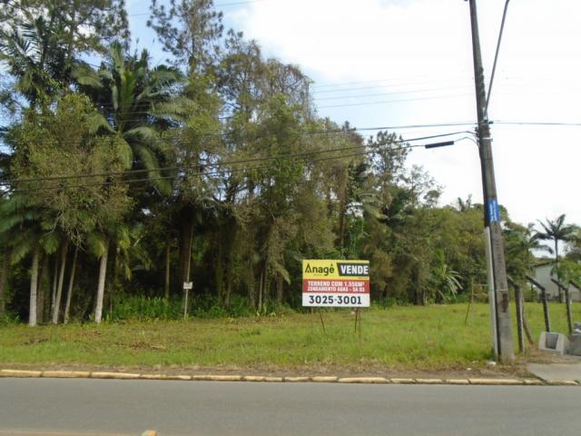 Terreno para alugar em Pirabeiraba, Joinville cod:00444.007 - Foto 12